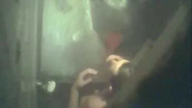 Russisk brunette løftede hendes nederdel op og foreslog kæreste at kneppe dansk porno tube i sengen